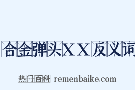 合金弹头XX反义词是什么意思的图片